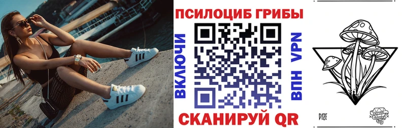 Купить закладки  Чекалин  Галлюциногенные грибы мицелий 